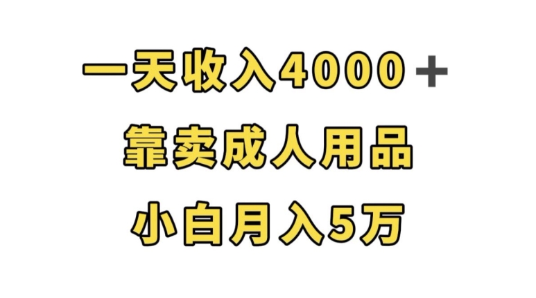 一天收入4000+，靠卖成人用品，小白轻松月入5万【揭秘】-19点研学社