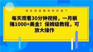 每天观看30分钟视频，一月躺赚1000+美金！保姆级教程，可放大操作【揭秘】-19点研学社