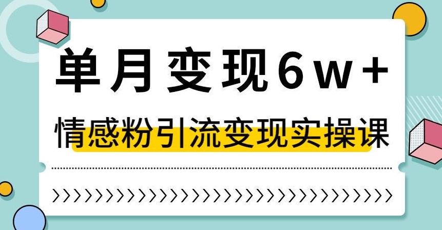 单月变现6W+，抖音情感粉引流变现实操课，小白可做，轻松上手，独家赛道【揭秘】-19点研学社