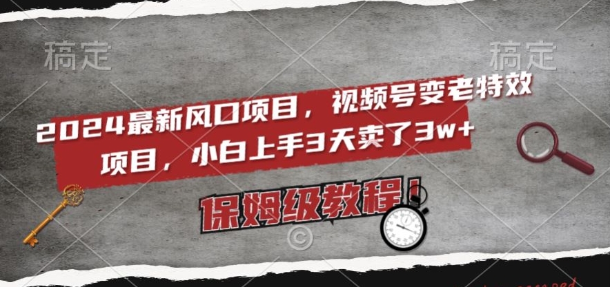 2024最新风口项目，视频号变老特效项目，电脑小白上手3天卖了3w+，保姆级教程【揭秘】-19点研学社