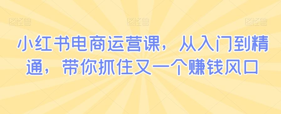 小红书电商运营课，从入门到精通，带你抓住又一个赚钱风口-19点研学社