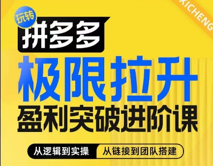 拼多多极限拉升盈利突破进阶课，​从算法到玩法，从玩法到团队搭建，体系化系统性帮助商家实现利润提升-19点研学社